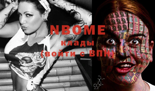 бошки Бородино