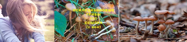 каннабис Белоозёрский