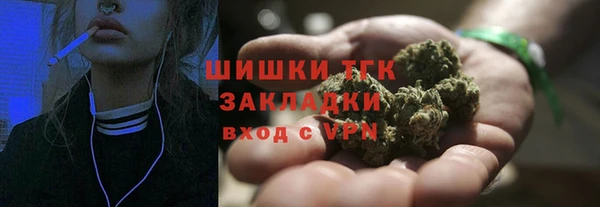 бошки Бородино