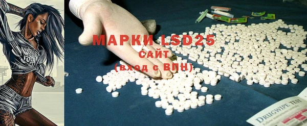 бошки Бородино