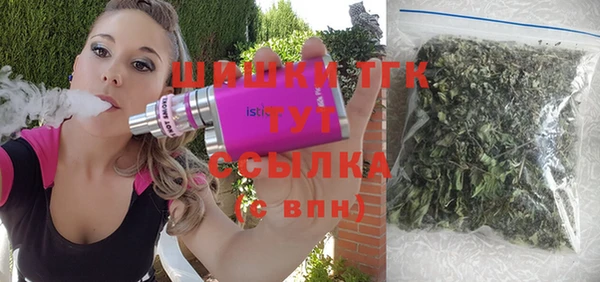 бошки Бородино