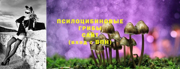 jwh Богородск