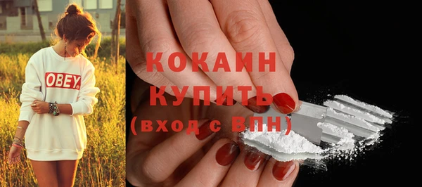 бошки Бородино
