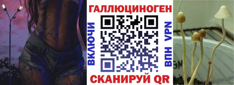 блэк спрут ТОР  Верхний Тагил  Псилоцибиновые грибы Psilocybe  продажа наркотиков 